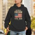 The Athletics Society | Vintage USA Flag Pullover Hoodie - 7